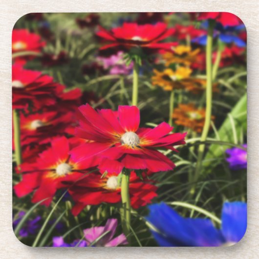 虹色春コルクコースター コースター (正面)