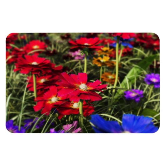 虹色春可撓磁石 マグネット (横)