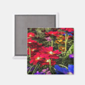 虹色春磁石 マグネット (正面/裏面)