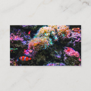 虹色熱帯海底サンゴ 名刺