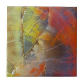 虹色石化木材 タイル (正面)