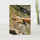 虹鱒 フライフィッシング グリーティングカード (正面)