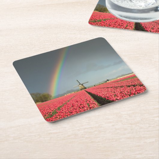 虹、チューリップおよび風車のコースター スクエアペーパーコースター (アングル)