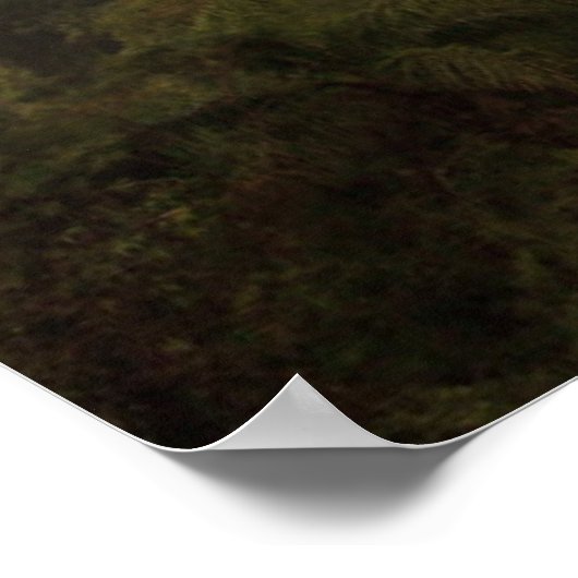 虹 ポスター (角)