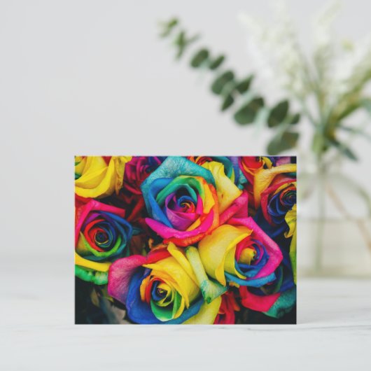 虹 ポストカード (スタンド正面)