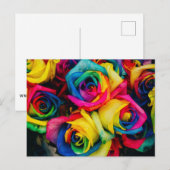 虹 ポストカード (正面/裏面)