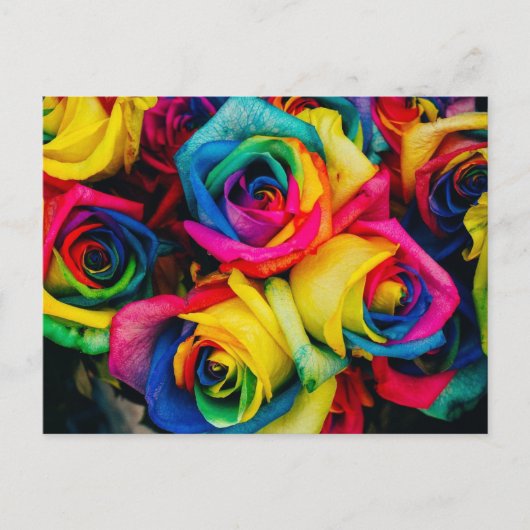 虹 ポストカード (正面)