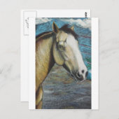 虹 ポストカード (正面/裏面)