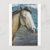 虹 ポストカード (正面)