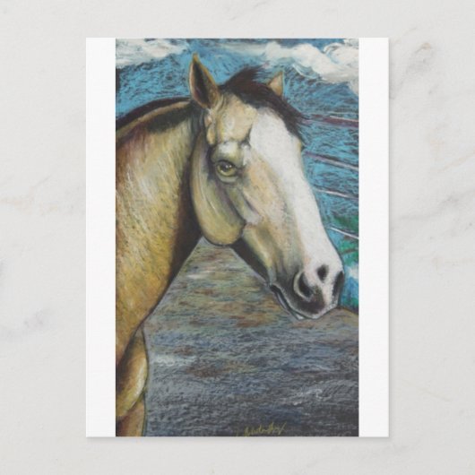 虹 ポストカード (正面)