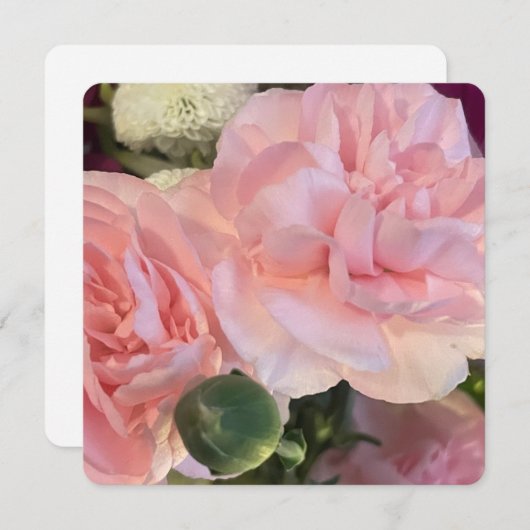 虹 招待状 (正面/裏面)