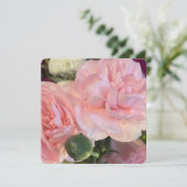 虹 招待状 (スタンド正面)