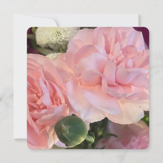 虹 招待状 (正面)