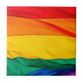 虹Backsplash タイル (正面)