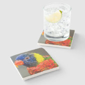 虹Lorikeetのポートレート ストーンコースター (横)
