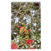 虹LORIKEET田園クイーンズランドオーストラリア カレンダー (カバー)