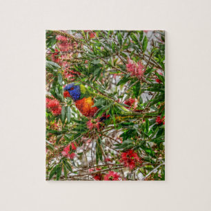虹LORIKEET田園クイーンズランドオーストラリア ジグソーパズル