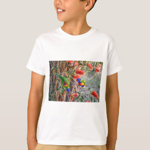 虹LORIKEET田園クイーンズランドオーストラリア Tシャツ