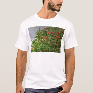 虹LORIKEET田園クイーンズランドオーストラリア Tシャツ