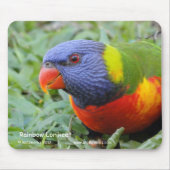 虹Lorikeet マウスパッド (正面)