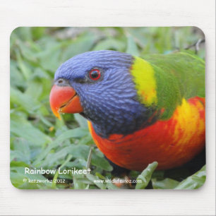 虹Lorikeet マウスパッド