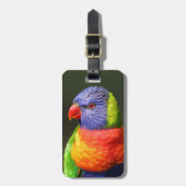 虹Lorikeet ラゲッジタグ (正面縦)