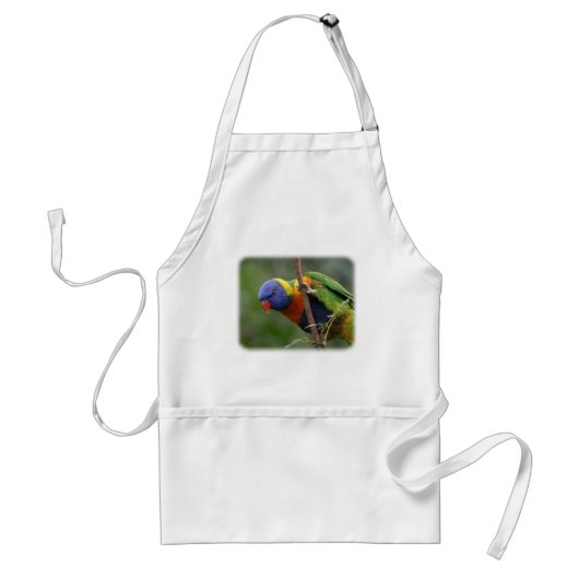 虹Lorikeet 9Y209D-178 スタンダードエプロン (正面)