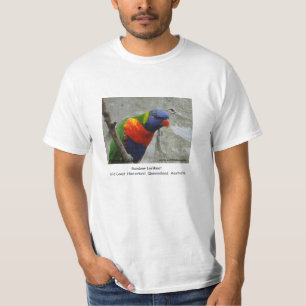 虹Lorikeet Tシャツ