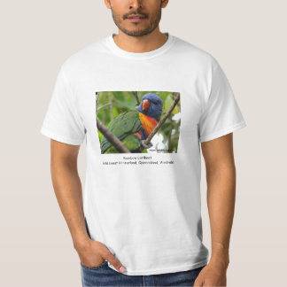 虹Lorikeet Tシャツ