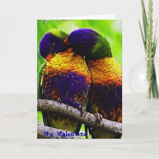 虹Lorikeetsの私のバレンタイン シーズンカード (正面)