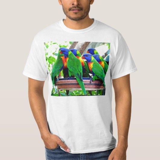 虹Lorikeets Tシャツ (正面)