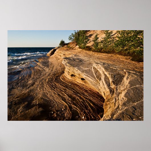 蚊のビーチ ポスター (正面)