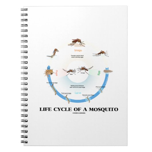 蚊のライフサイクル（卵幼生のイマゴを操る） ノートブック (正面)