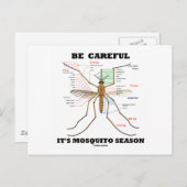 蚊の季節(蚊の解剖学)に気をつけなさい ポストカード (正面/裏面)