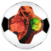 蚊の探検家 サッカーボール (回転)