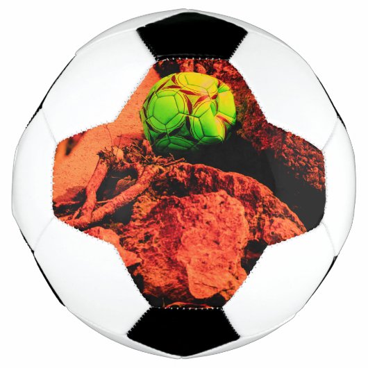蚊の探検家 サッカーボール (正面)