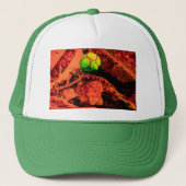 蚊の探険家 キャップ (正面)