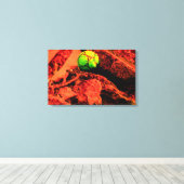 蚊の探険家 キャンバスプリント (インサイチュ (ウッドフロア))