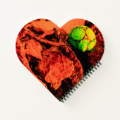 蚊の探険家 ノートブック (裏面)