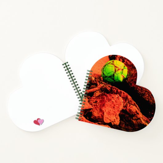 蚊の探険家 ノートブック (内部)