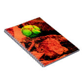 蚊の探険家 ノートブック (右側)