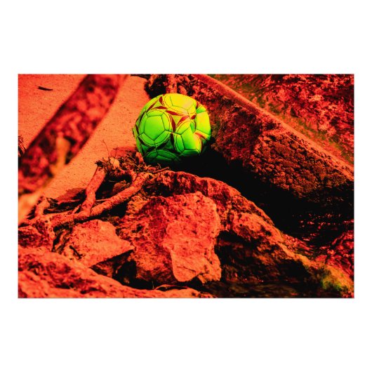 蚊の探険家 フォトプリント            (正面)