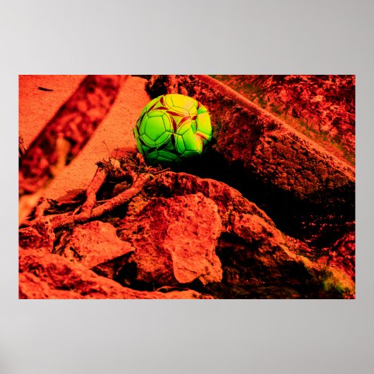 蚊の探険家 ポスター (正面)