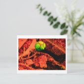 蚊の探険家 ポストカード (スタンド正面)