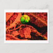 蚊の探険家 ポストカード (正面)