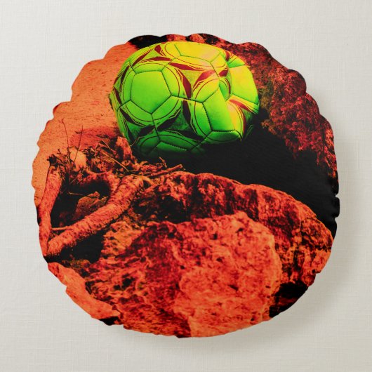 蚊の探険家 ラウンドクッション (正面)