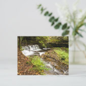 蚊の秋 ポストカード (スタンド正面)