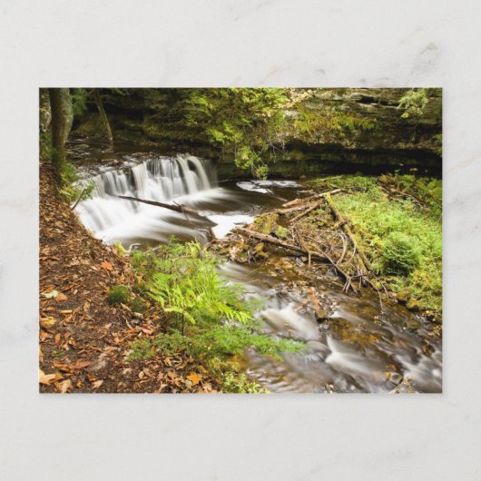 蚊の秋 ポストカード (正面)