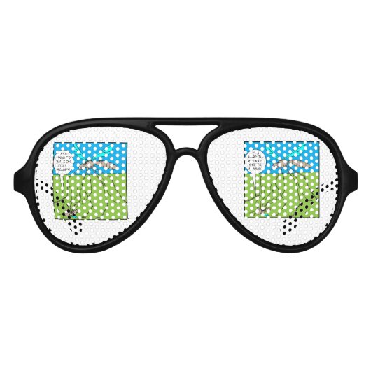 蚊 アビエーターサングラス (正面)