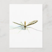 蚊 ポストカード (正面)